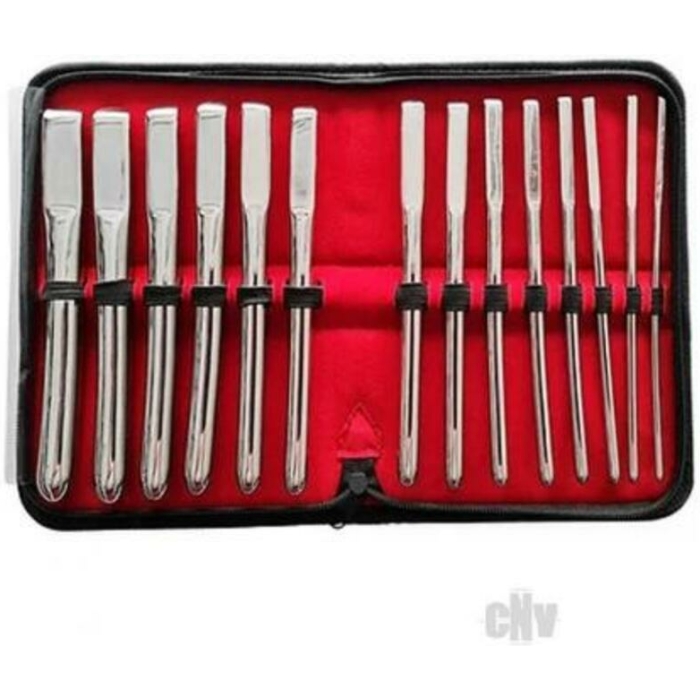 Rouge Stainless Steel Uterine Hegar Set 14 Pieces In Case - Image 1