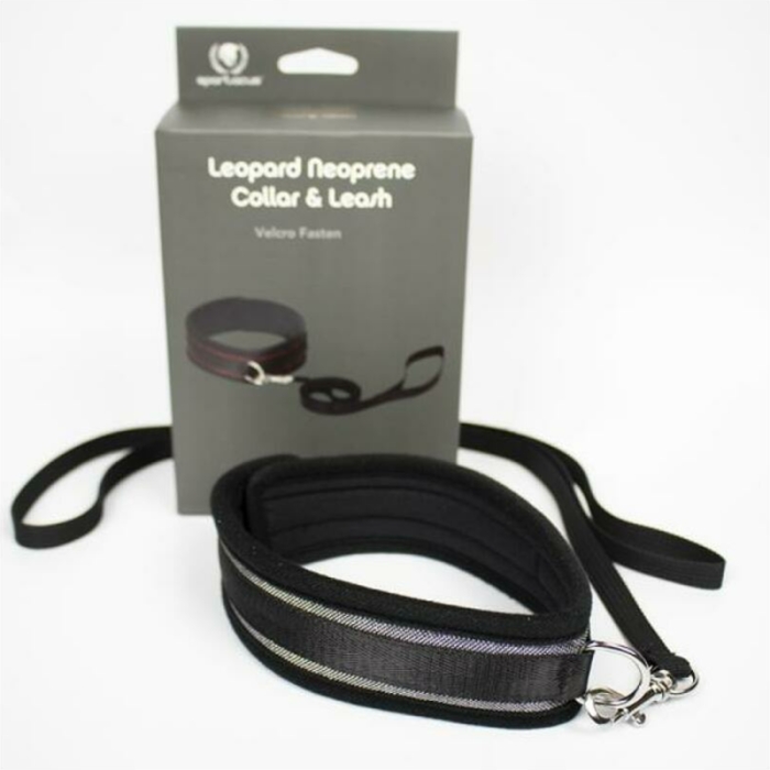 Spartacus Collar And Leash Neoprene Silver - Image 1