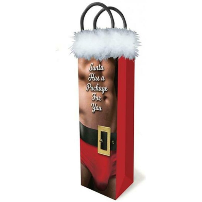 Santa Has A Package Gift Bag - Image 1