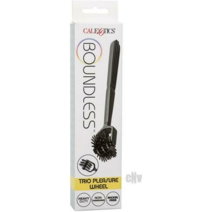 Boundless Trio Pinwheel - Image 1