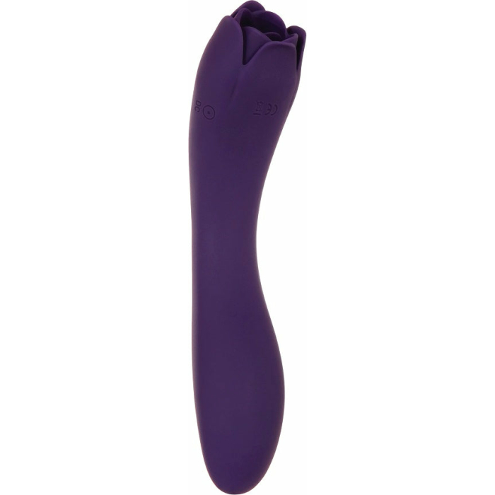 Evolved Thorny Rose Rechargeable Silicone Purple - Image 1