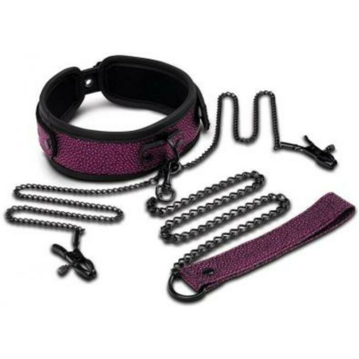 Whipsmart Dragon's Lair Collar, Leash & Nipple Clips Set - Image 1