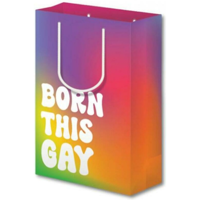 Born This Gay Pride Large Gift Bag - Image 1