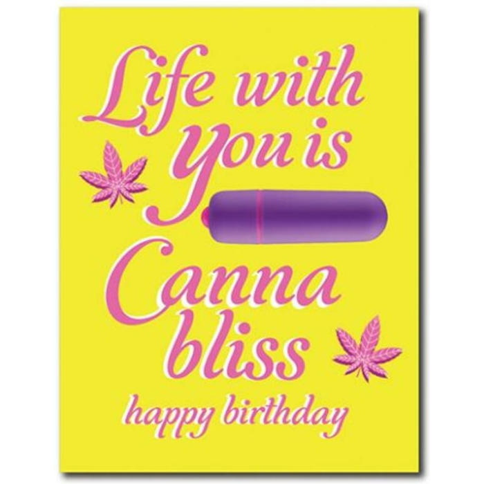 420 Foreplay Cannabliss W/rock Candy Vibrator & Fresh Vibes Towelettes - Image 1