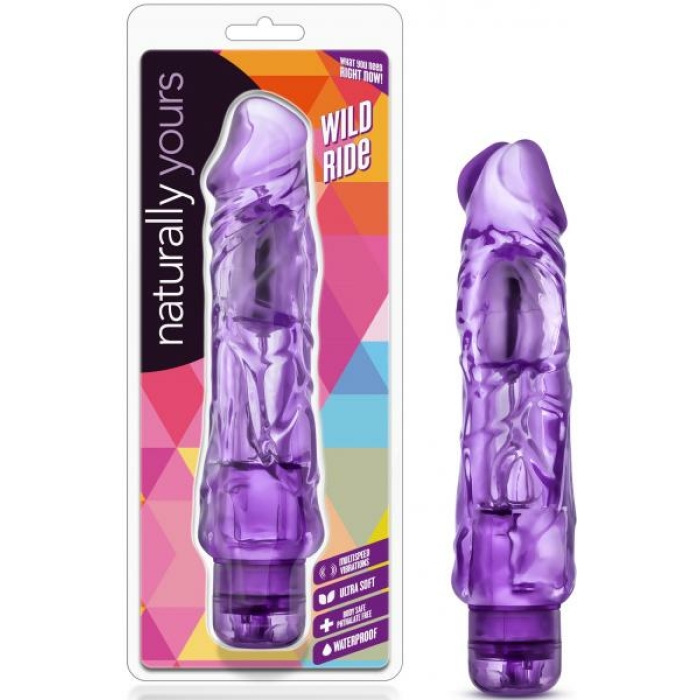 Wild Ride Vibe - Image 1
