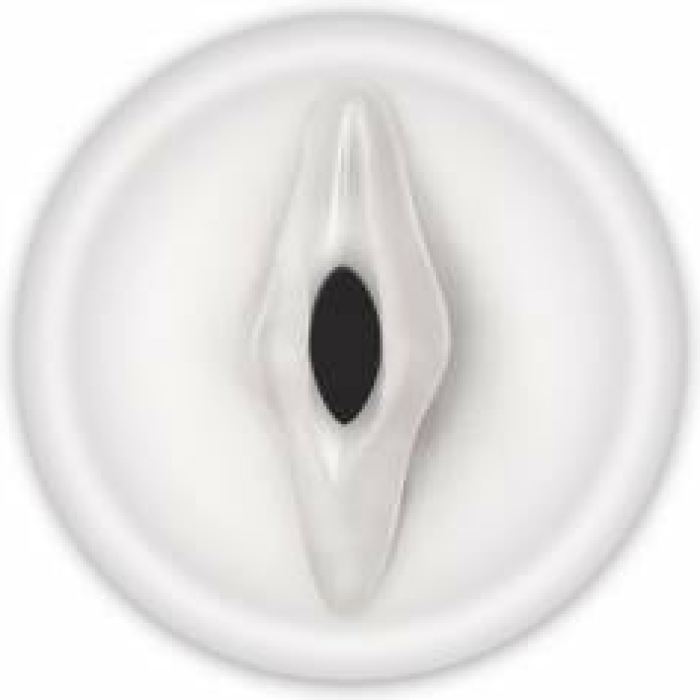 Renegade Universal Pump Vagina Sleeve Clear - Image 1