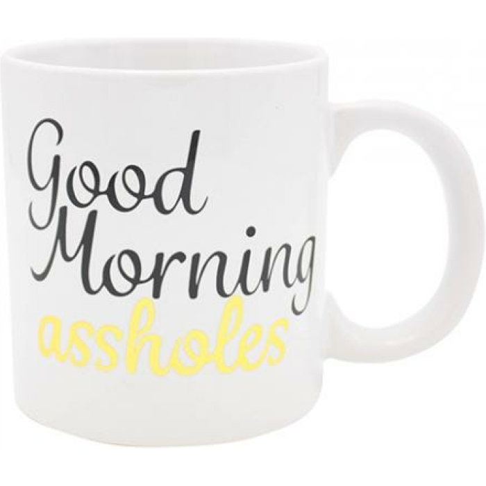 Attitude Mug Good Morning Asshole Holds  22oz - Image 1