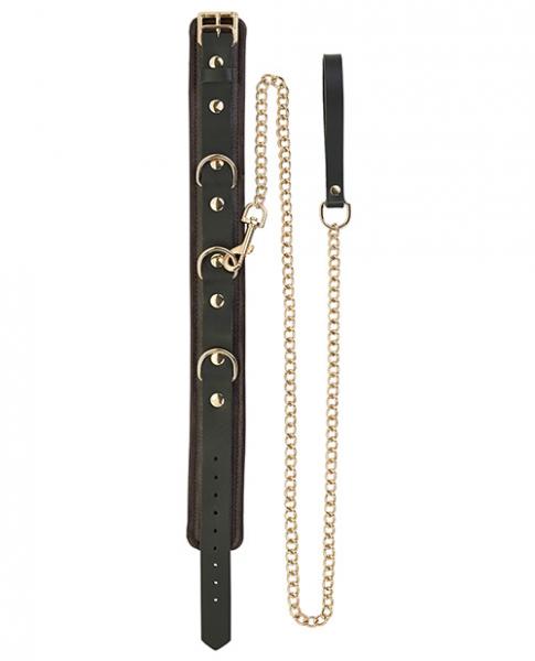 Spartacus Collar & Leash Brown Leather Gold Accent Hardware - Image 2