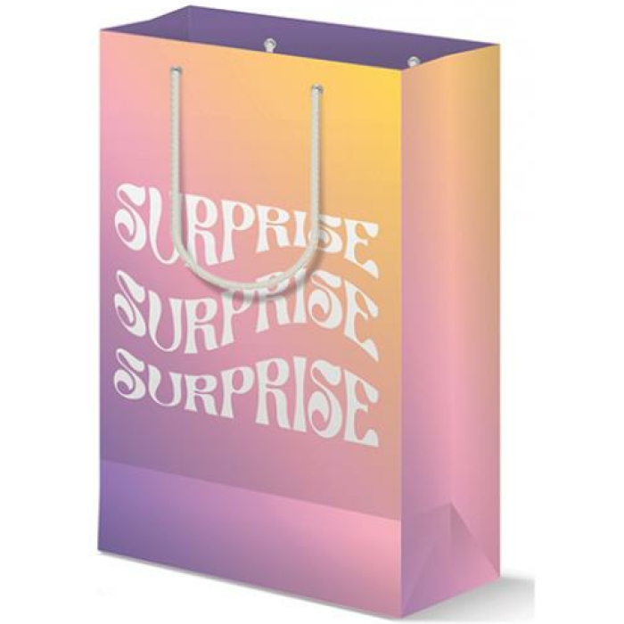 Surprise Gift Bag - Image 1