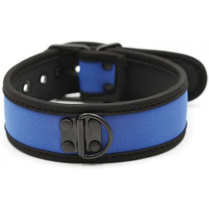 Plesur Neoprene Puppy Collar - Blue - Image 1