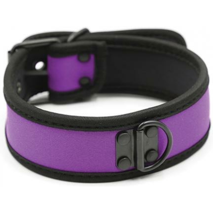 Plesur Neoprene Puppy Collar - Purple - Image 1