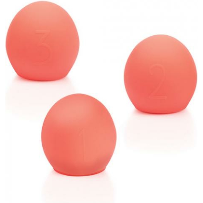 We-Vibe Bloom Coral Accessories Kit - Image 1