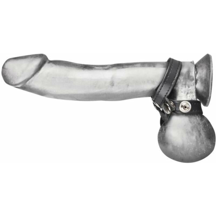 C & B Gear 8 Style Ball Divider Black - Image 3
