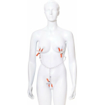 Triple Your Pleasure  Nipple & Clitoral Clamps & Chain - Image 2