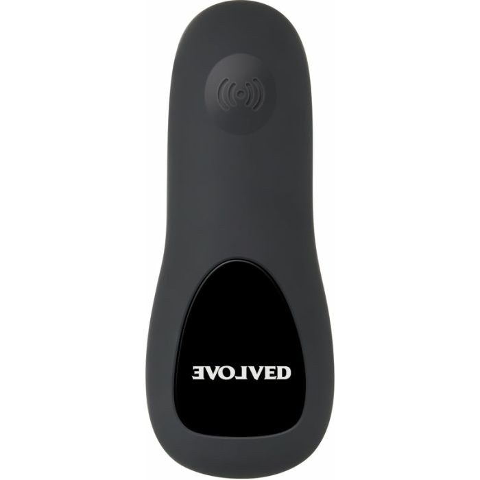 Evolved Plug&Play - Image 2