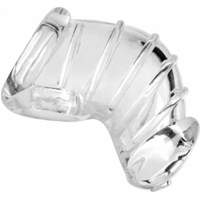 Detained Soft Body Chastity Cage - Image 2