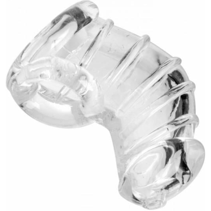 Detained Soft Body Chastity Cage - Image 3