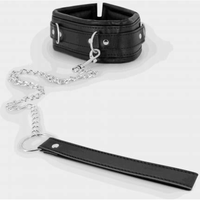 Collar & Leash - Image 2