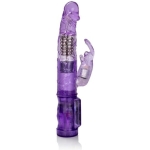 Petite Jack Rabbit - Image 2