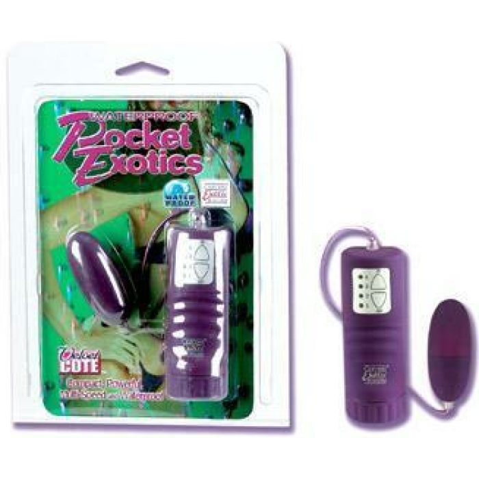 Waterproof Pocket Exotics Bullet - Image 1
