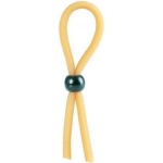 The lasso