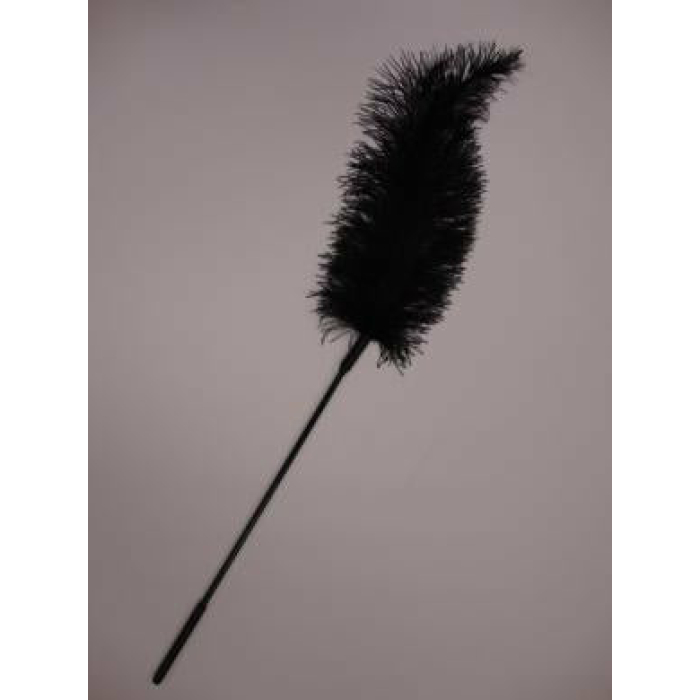Ostrich Tickler - Image 2