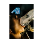 Huge Penis Ice Luge Freeze At Home - Image 3