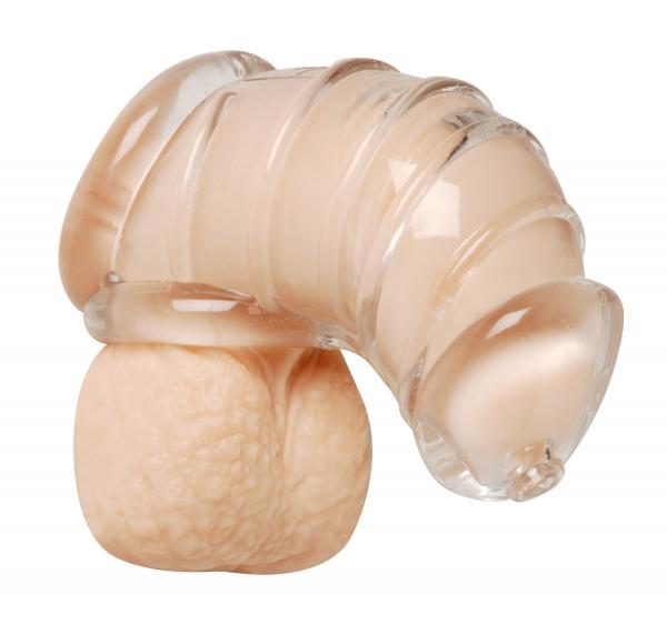 58643a3ac3e46 Detained Soft Body Chastity Cage - Image 1