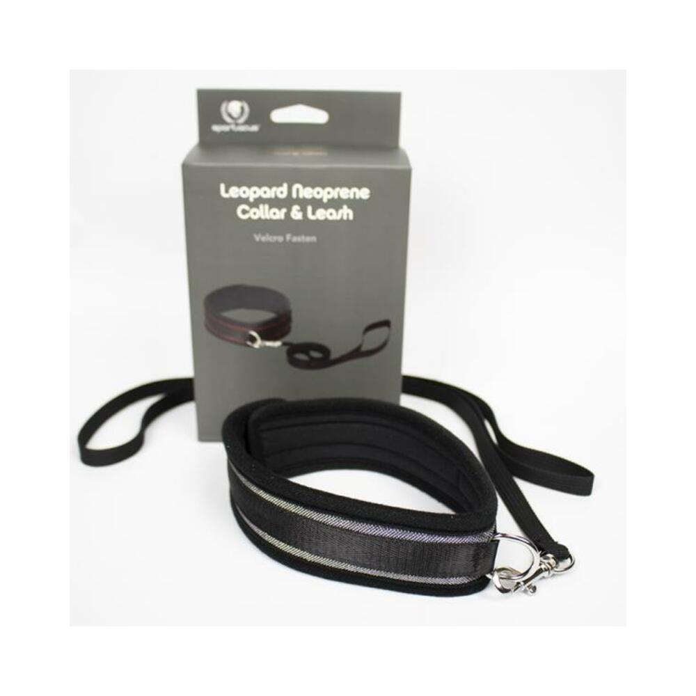 669729001462_1 Spartacus Collar And Leash Neoprene Silver - Image 1