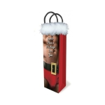 Santa Has A Package Gift Bag