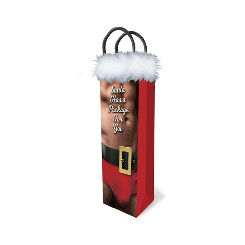 685634103404_1 Santa Has A Package Gift Bag - Image 1