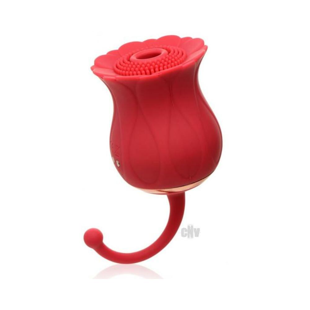 848518046765_1 Bloomgasm Royalty Rose Red - Image 1