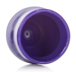 Mini Nipple Suckers Purple - Image 3