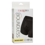 Boundless Boxer Brief S/m