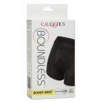 Boundless Boxer Brief L/xl