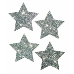 Petites Silver Glitter Star O/S 2 Pack Pasties