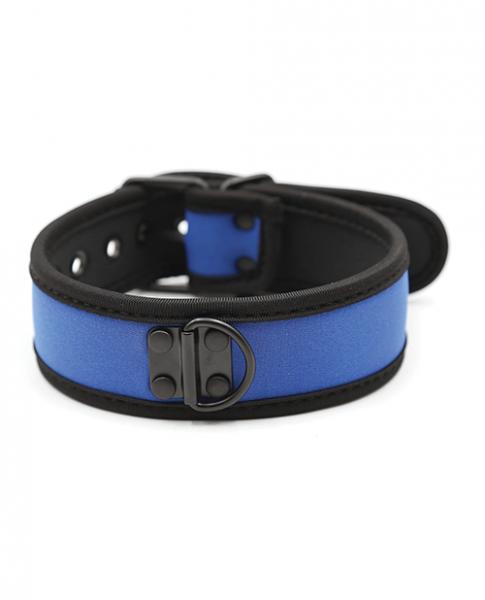 CNVELD-PLB75865BL628dfe8dabf8c Plesur Neoprene Puppy Collar - Blue - Image 1