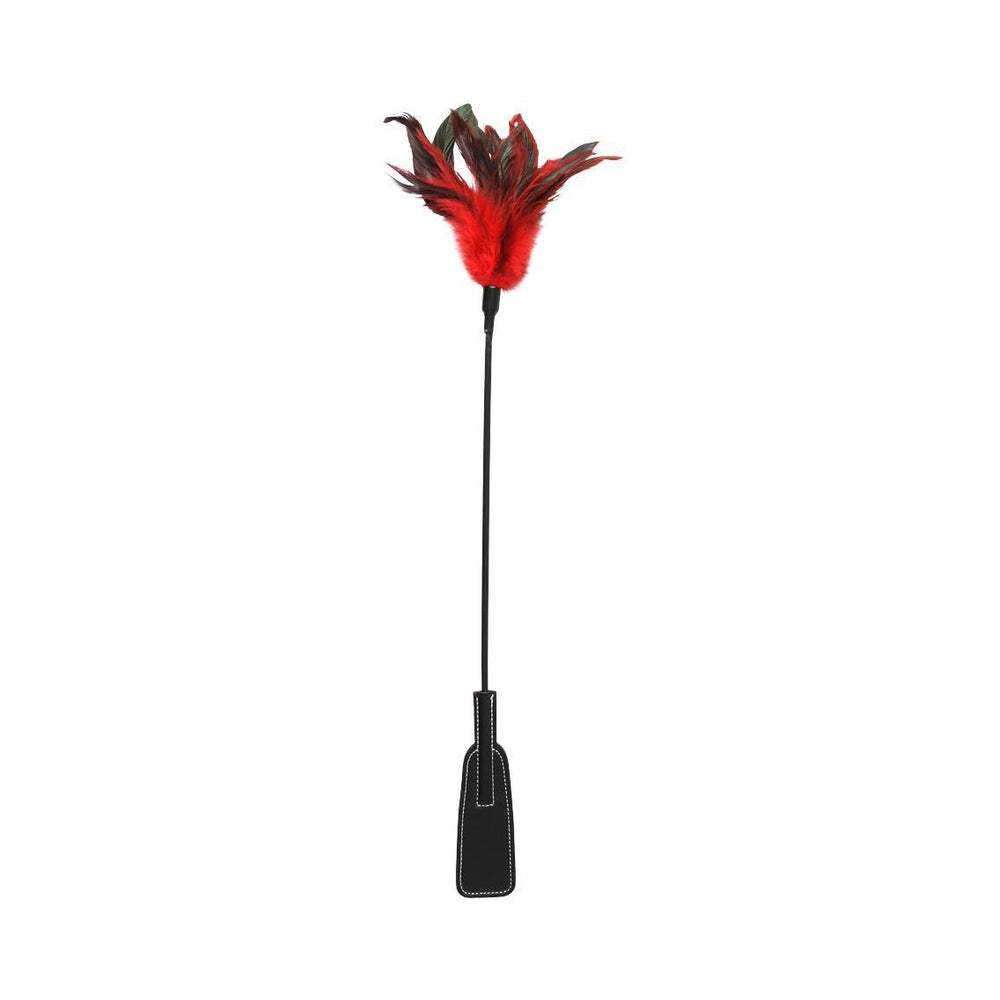 CNVNAL-43208_1_616a0de1-e5a7-4ddb-9b58-a05d5374191f S & M Feather Slapper - Image 1