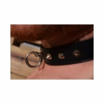 Rouge O-ring Studded Collar (thinner) Black - Image 3