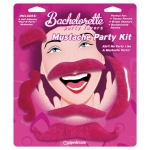 Mustache Party Kit Favors 6 Count Pink - Image 3