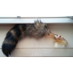 Tailz Faux Fox Tail Orange Glass Anal Plug - Image 3