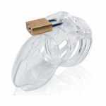 CB-6000 Male Chastity - Image 3
