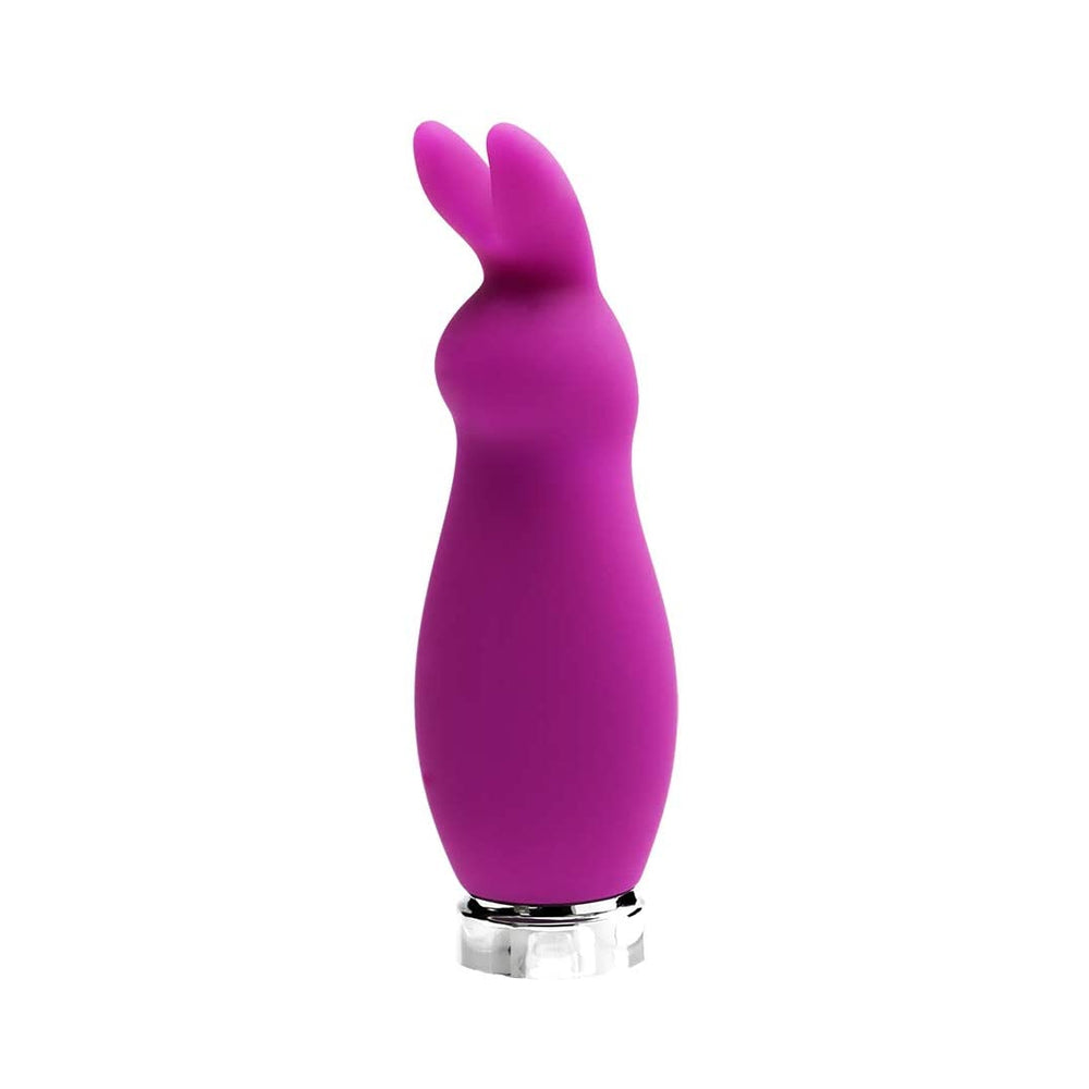 manual_f9094703-9c47-45a1-aae3-0a5848ca33ad Crazzy Bunny Mini Vibe - Image 1